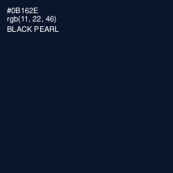 #0B162E - Black Pearl Color Image